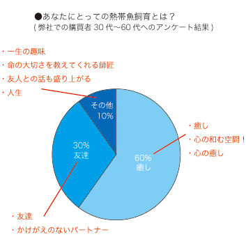 あなたにとって熱帯魚とはアンケート